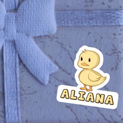 Autocollant Aliana Canard Laptop Image