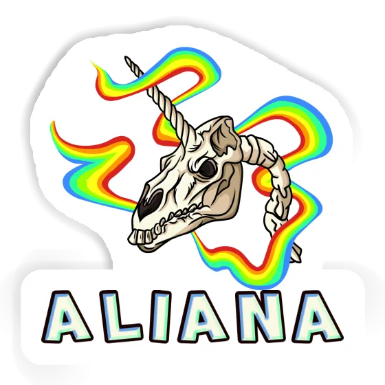Aliana Sticker Unicorn Skull Notebook Aliana Sticker Unicorn Skull Gift package Image