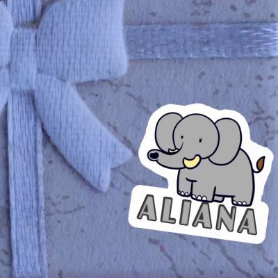 Elephant Sticker Aliana Notebook Elephant Sticker Aliana Gift package Image