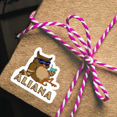 Aufkleber Aliana Eule Laptop Aufkleber Aliana Eule Laptop Image