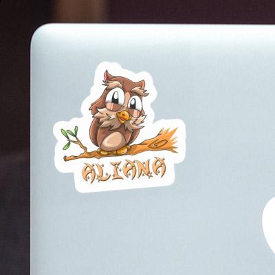 Autocollant Hibou Aliana Autocollant Hibou Aliana Image