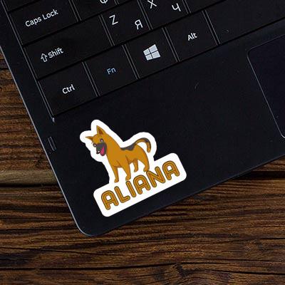 Hirtenhund Sticker Aliana Notebook Hirtenhund Sticker Aliana Gift package Image