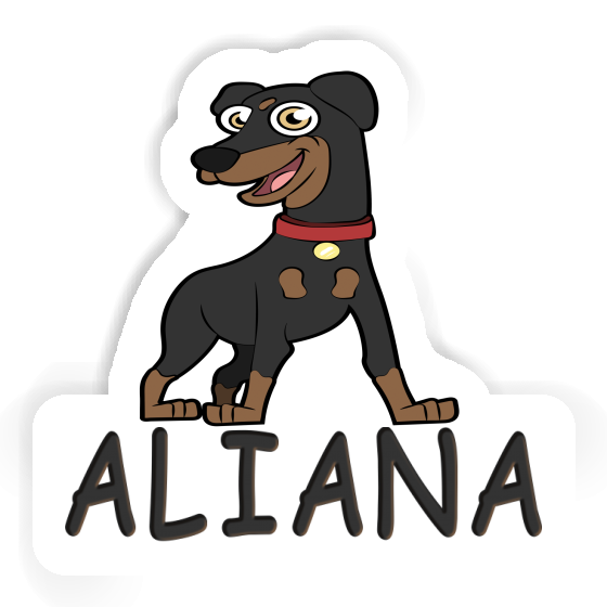 German Pinscher Sticker Aliana Gift package Image