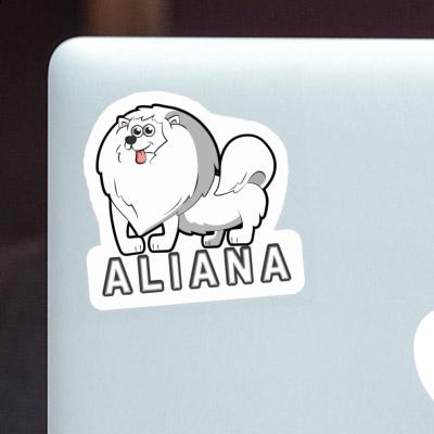 Aliana Autocollant Spitz allemand Notebook Aliana Autocollant Spitz allemand Gift package Image