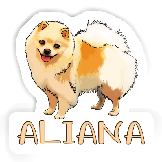 Sticker Deutsche Spitze Aliana Notebook Sticker Deutsche Spitze Aliana Gift package Image