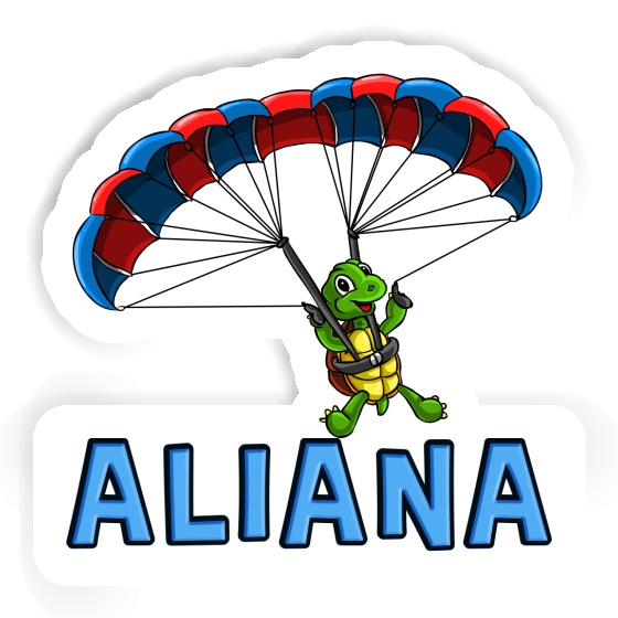 Autocollant Aliana Pilote de parapente Notebook Autocollant Aliana Pilote de parapente Gift package Image