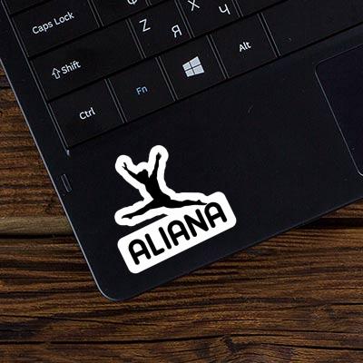 Sticker Gymnastin Aliana Notebook Sticker Gymnastin Aliana Gift package Image