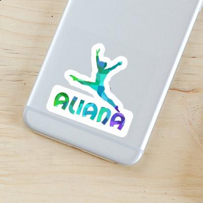 Aufkleber Gymnastin Aliana Notebook Aufkleber Gymnastin Aliana Gift package Image