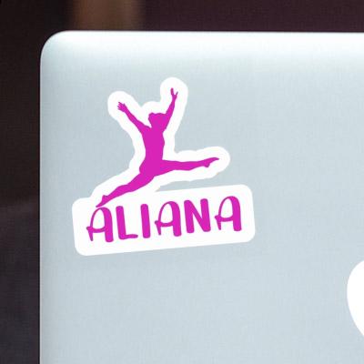 Gymnaste Autocollant Aliana Notebook Gymnaste Autocollant Aliana Notebook Image