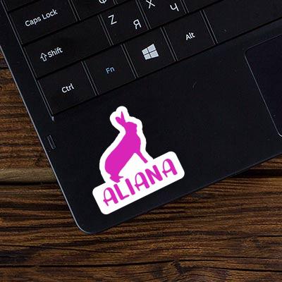 Sticker Aliana Rabbit Notebook Sticker Aliana Rabbit Gift package Image