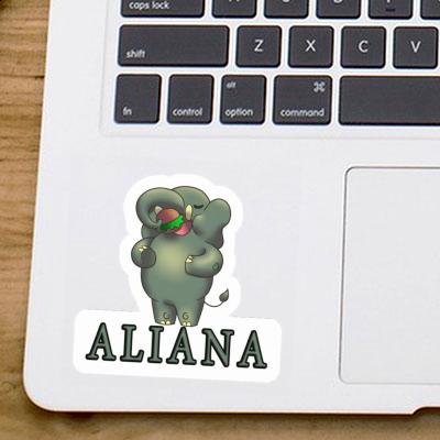 Autocollant Éléphant Aliana Notebook Autocollant Éléphant Aliana Gift package Image