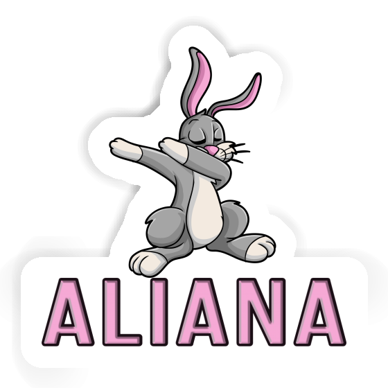 Aliana Sticker Hare Notebook Aliana Sticker Hare Gift package Image