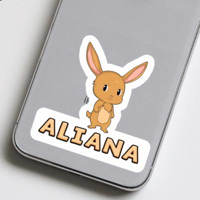 Aliana Sticker Hare Gift package Image