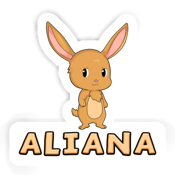 Hase Sticker Aliana Notebook Hase Sticker Aliana Gift package Image
