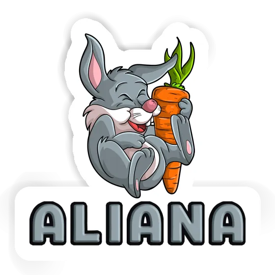 Sticker Aliana Hase Notebook Sticker Aliana Hase Gift package Image