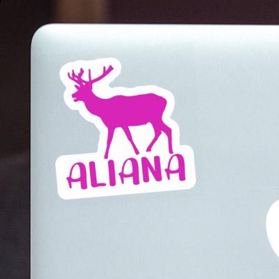 Sticker Deer Aliana Notebook Sticker Deer Aliana Gift package Image