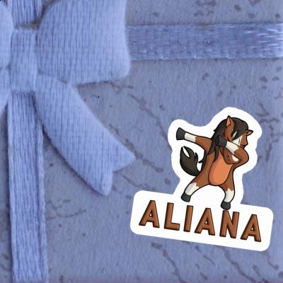 Sticker Horse Aliana Notebook Sticker Horse Aliana Gift package Image