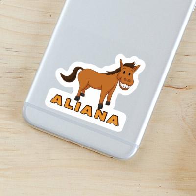 Sticker Grinning Horse Aliana Notebook Sticker Grinning Horse Aliana Gift package Image
