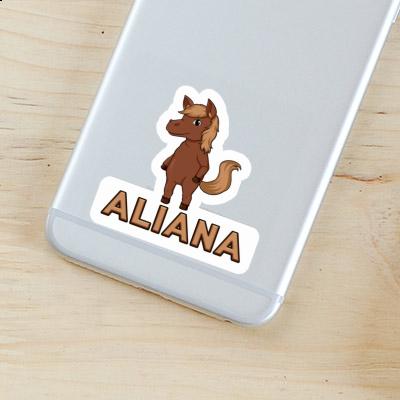 Sticker Horse Aliana Notebook Sticker Horse Aliana Gift package Image