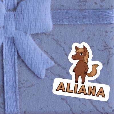Autocollant Cheval Aliana Laptop Autocollant Cheval Aliana Laptop Image