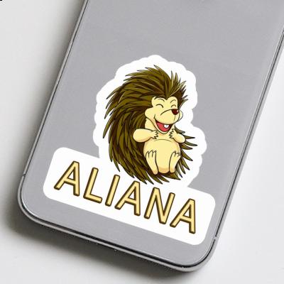 Aufkleber Igel Aliana Laptop Image