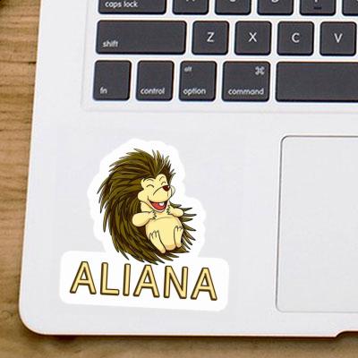 Aufkleber Igel Aliana Notebook Aufkleber Igel Aliana Gift package Image