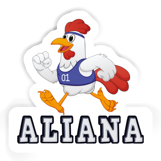 Sticker Jogger Aliana Notebook Sticker Jogger Aliana Gift package Image
