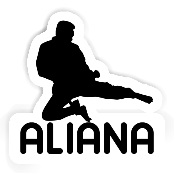 Aliana Sticker Karateka Image