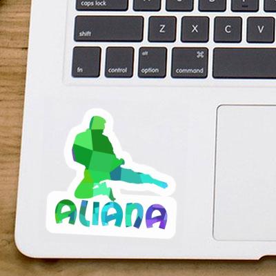 Karateka Sticker Aliana Gift package Image