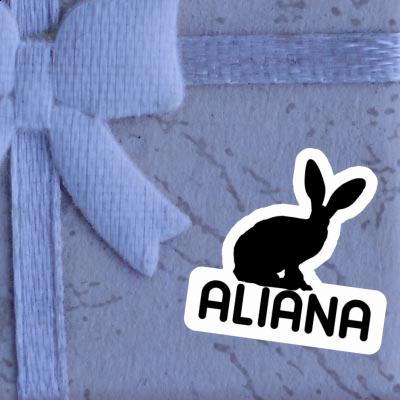 Aliana Sticker Rabbit Notebook Aliana Sticker Rabbit Gift package Image