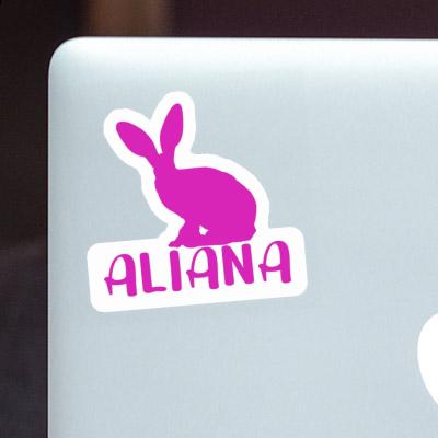 Kaninchen Aufkleber Aliana Notebook Kaninchen Aufkleber Aliana Gift package Image