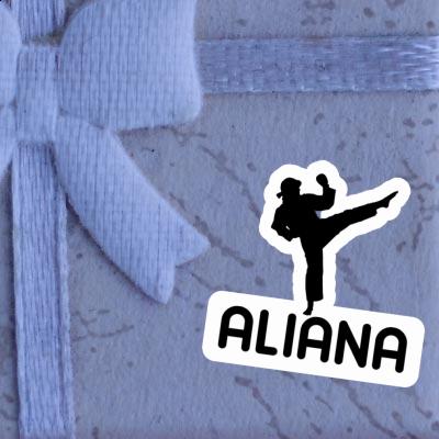 Aliana Aufkleber Karateka Gift package Image