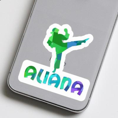 Sticker Aliana Karateka Notebook Sticker Aliana Karateka Gift package Image