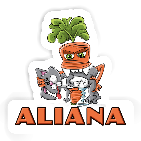 Autocollant Carotte monstre Aliana Notebook Autocollant Carotte monstre Aliana Gift package Image