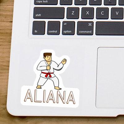 Sticker Aliana Karateka Laptop Image