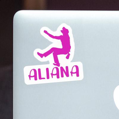 Grimpeur Autocollant Aliana Notebook Grimpeur Autocollant Aliana Gift package Image