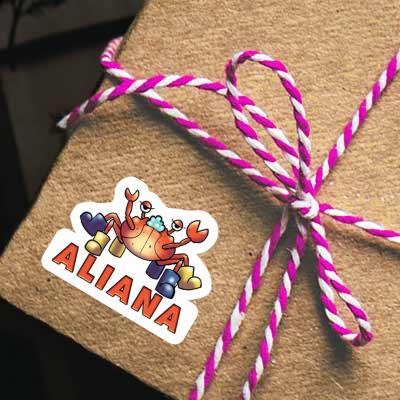 Sticker Aliana Krabbe Gift package Image