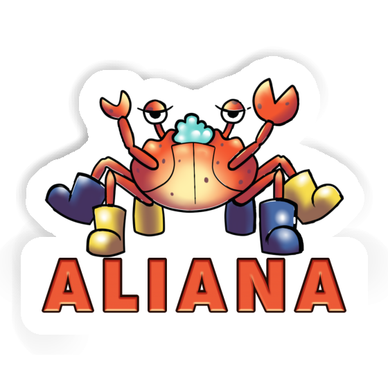Crabe Autocollant Aliana Notebook Crabe Autocollant Aliana Notebook Image
