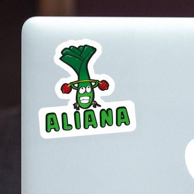 Poireau Autocollant Aliana Notebook Poireau Autocollant Aliana Gift package Image