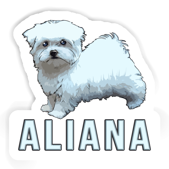 Malteserhund Sticker Aliana Notebook Malteserhund Sticker Aliana Gift package Image