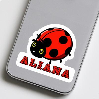 Aliana Sticker Marienkäfer Notebook Aliana Sticker Marienkäfer Gift package Image