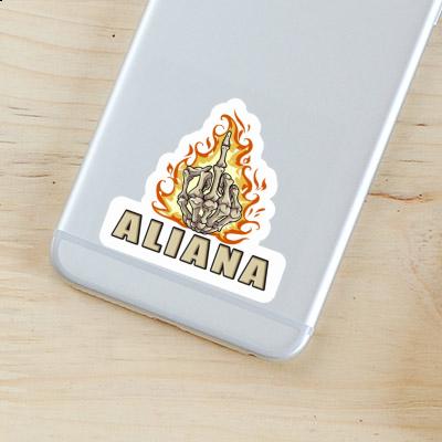 Aufkleber Aliana Mittelfinger Laptop Image