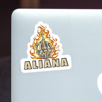 Aufkleber Aliana Mittelfinger Notebook Image
