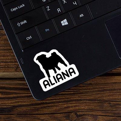 Aliana Autocollant Carlin Notebook Aliana Autocollant Carlin Gift package Image