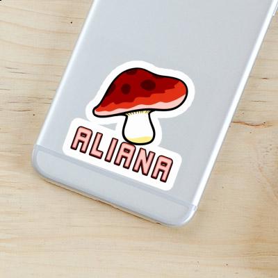 Autocollant Champignon Aliana Laptop Image