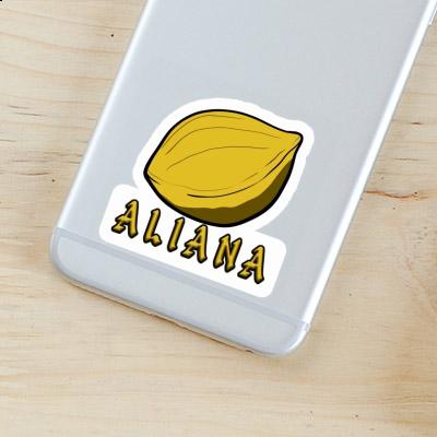 Sticker Nuss Aliana Notebook Sticker Nuss Aliana Gift package Image