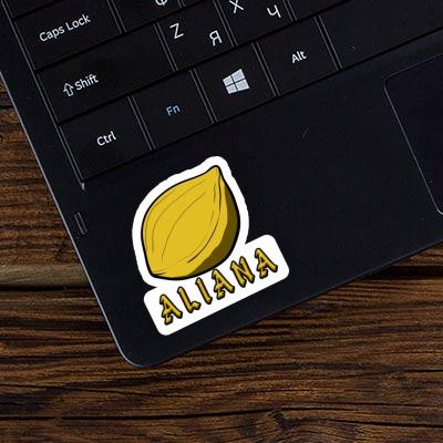 Sticker Nuss Aliana Notebook Sticker Nuss Aliana Notebook Image