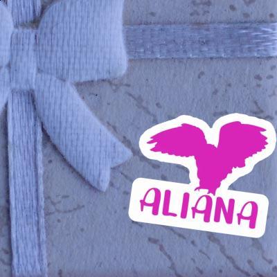 Hibou Autocollant Aliana Notebook Hibou Autocollant Aliana Notebook Image