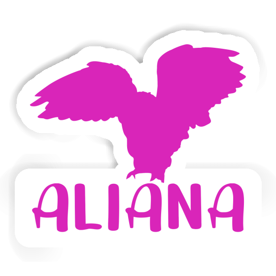 Eule Sticker Aliana Notebook Eule Sticker Aliana Gift package Image