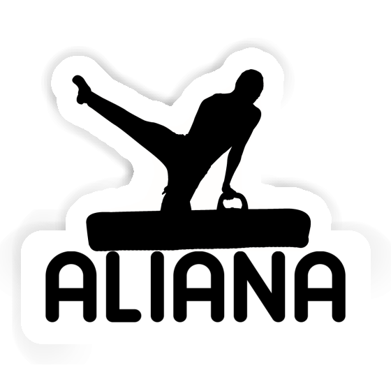 Aliana Sticker Turner Notebook Aliana Sticker Turner Gift package Image
